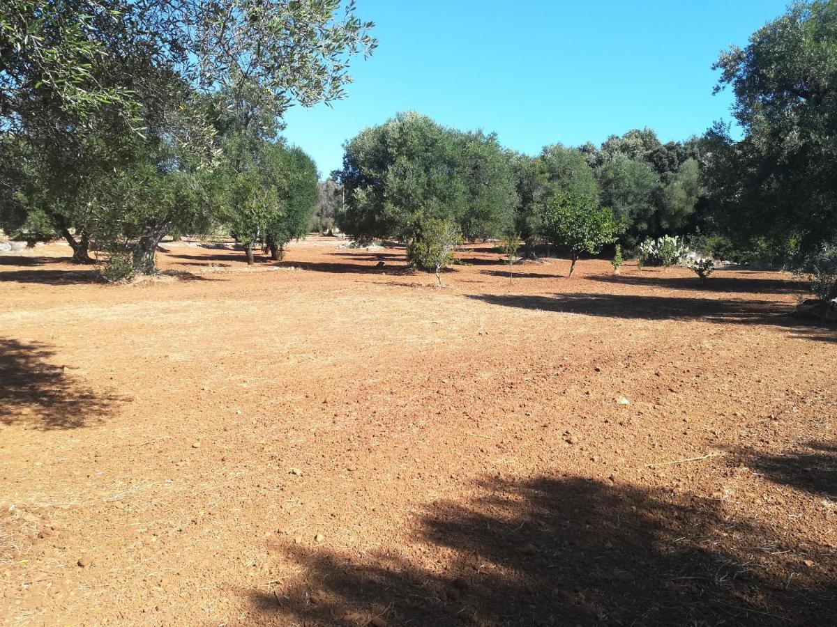 Trullo Alessandro E Villa Raffaela San Vito dei Normanni Ngoại thất bức ảnh