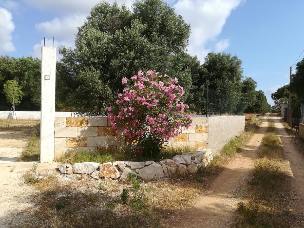 Trullo Alessandro E Villa Raffaela San Vito dei Normanni Ngoại thất bức ảnh