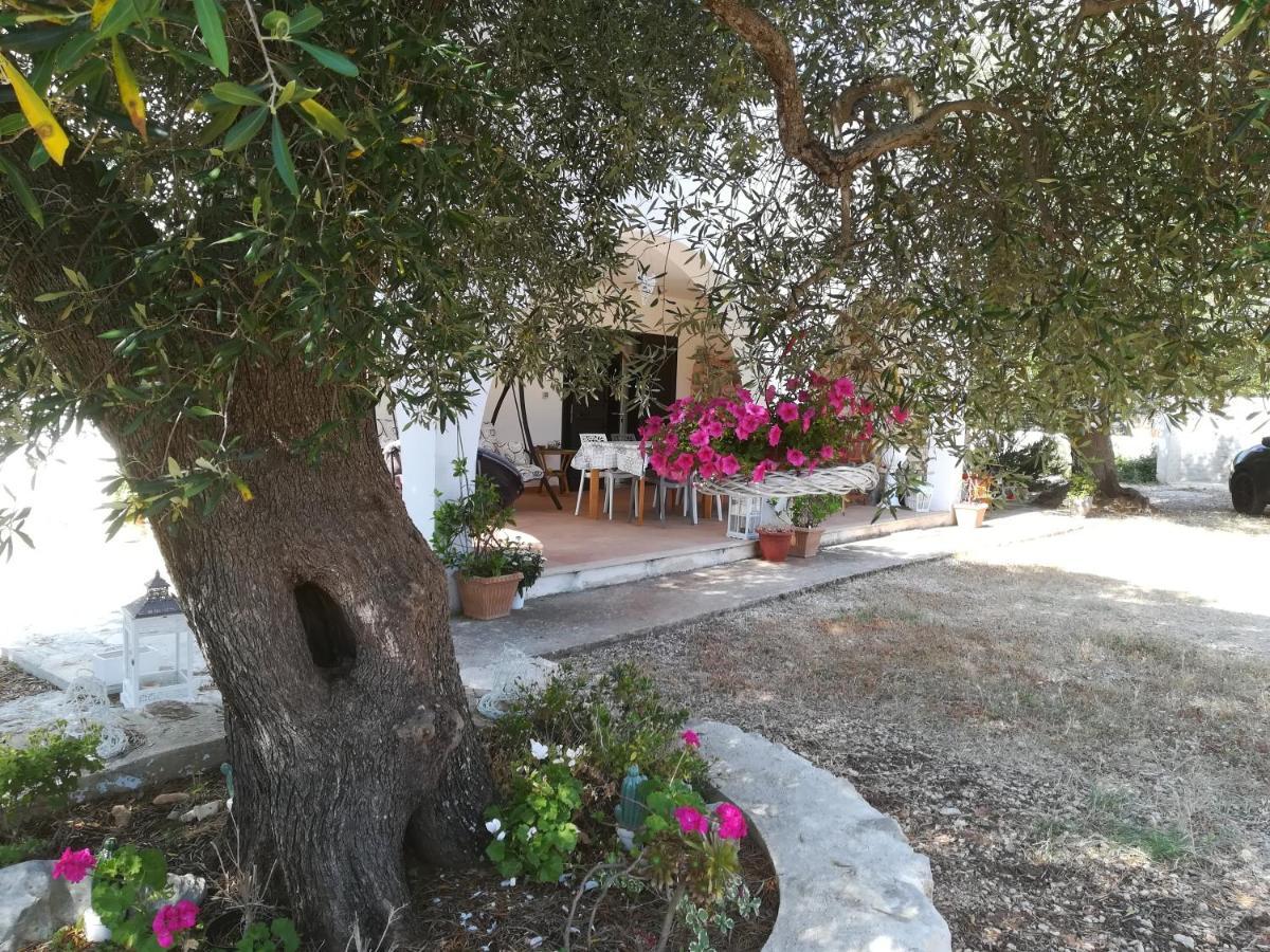 Trullo Alessandro E Villa Raffaela San Vito dei Normanni Ngoại thất bức ảnh