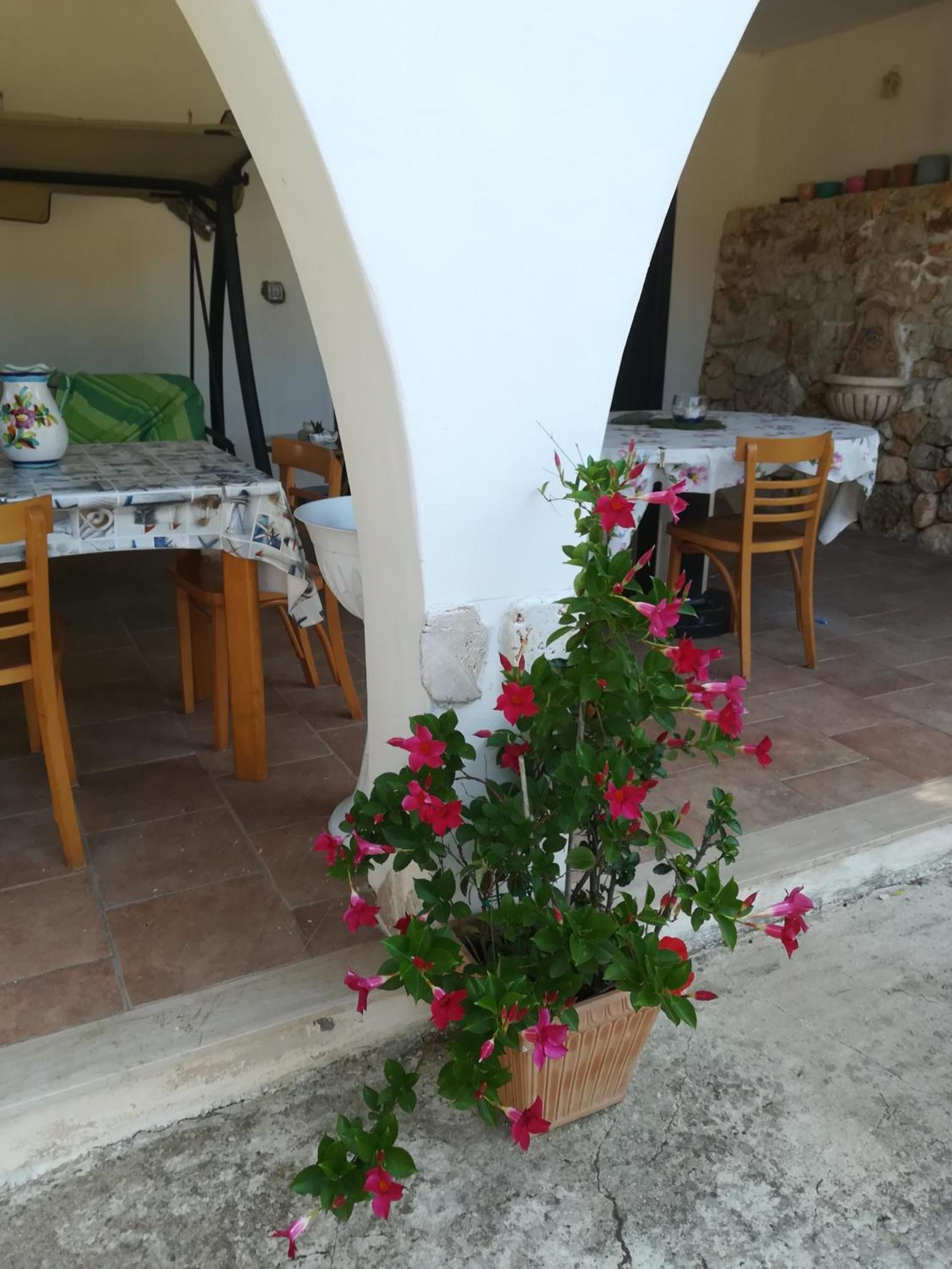 Trullo Alessandro E Villa Raffaela San Vito dei Normanni Phòng bức ảnh